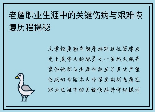 老詹职业生涯中的关键伤病与艰难恢复历程揭秘 老詹职业生涯中的关键伤病与艰难恢复历程揭秘